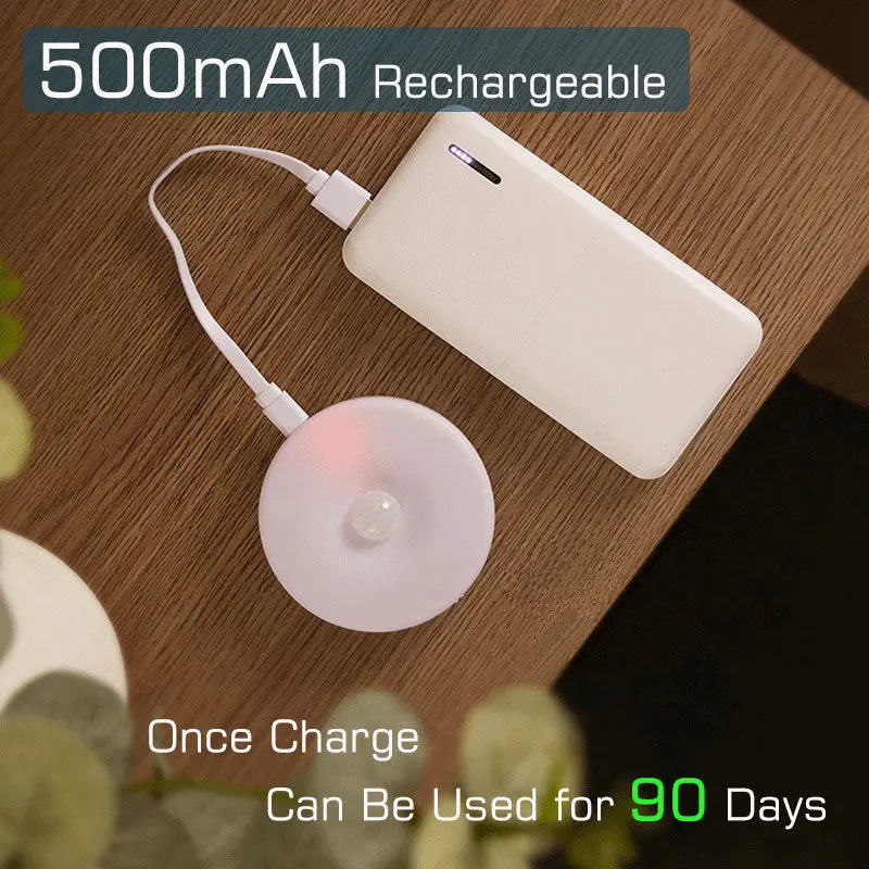 Motion Sensor Light