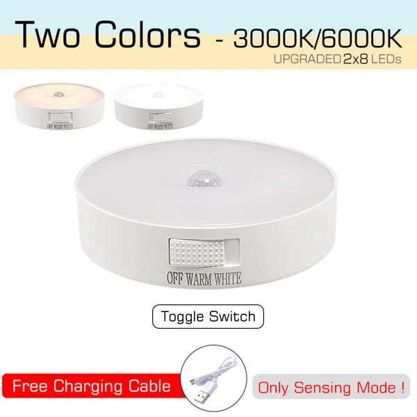 Motion Sensor Light