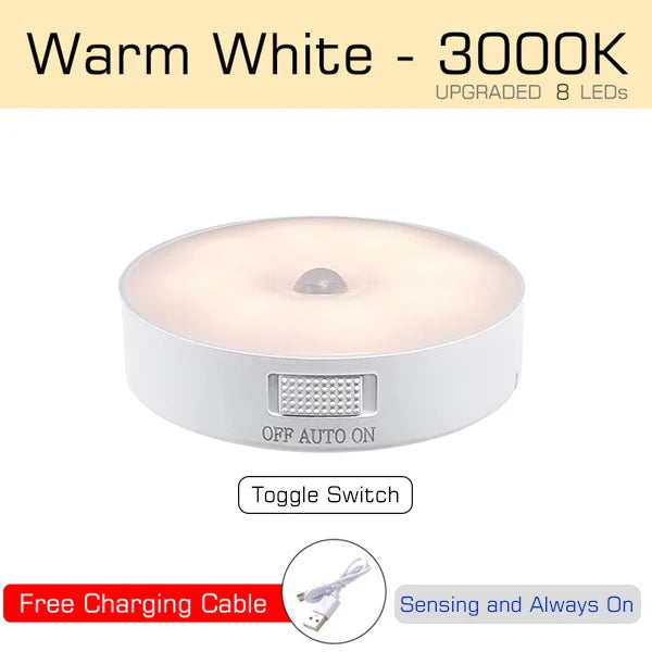 Motion Sensor Light