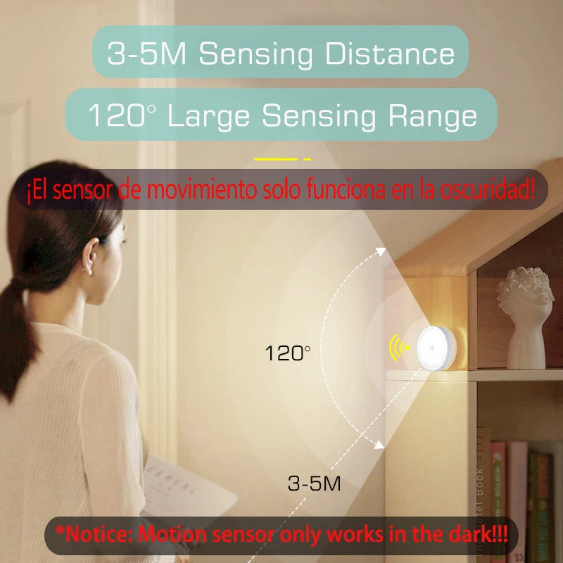 Motion Sensor Light