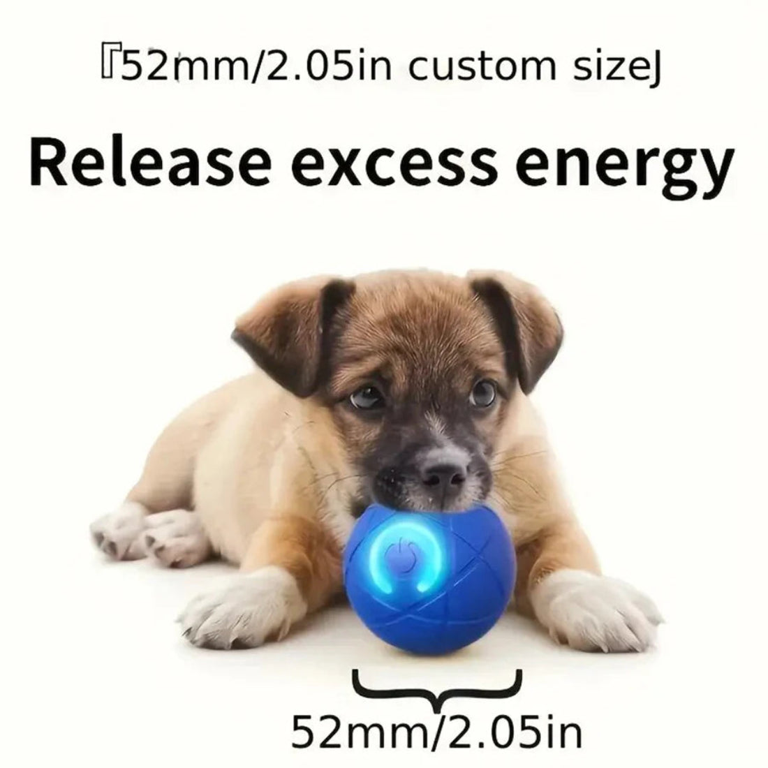 Automatic Dog Rolling Ball