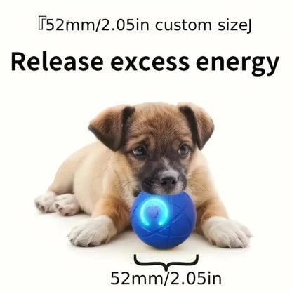 Automatic Dog Rolling Ball