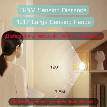 Motion Sensor Light