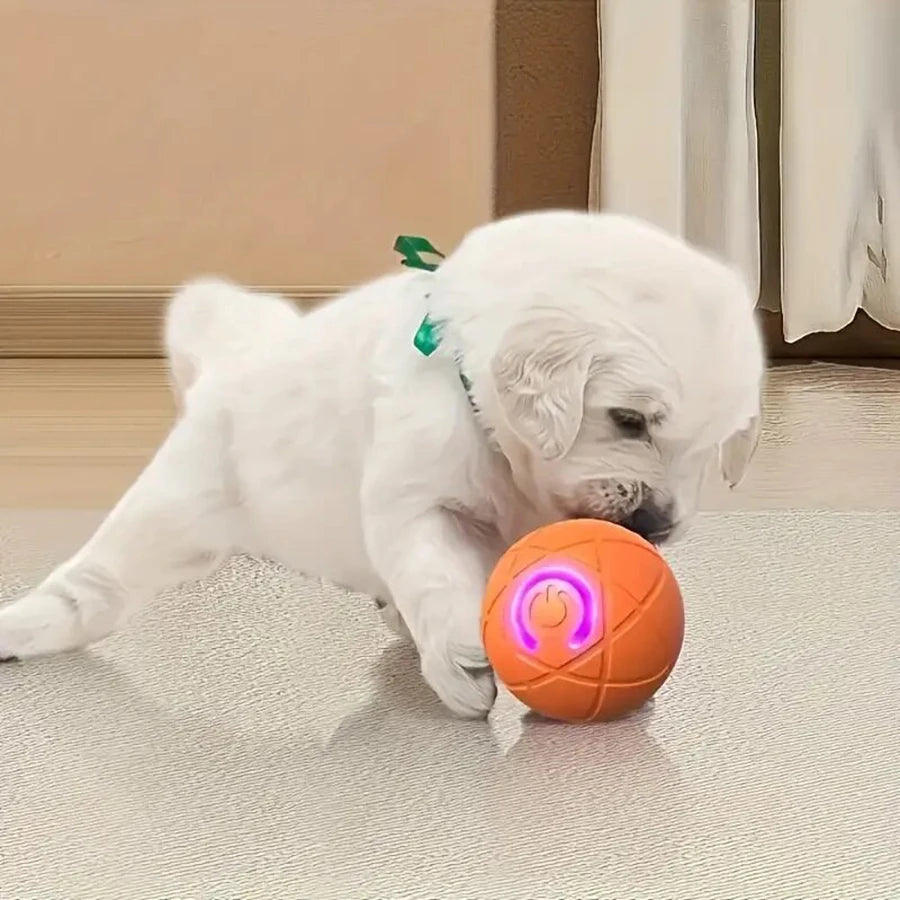 Automatic Dog Rolling Ball