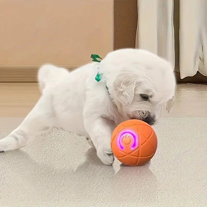 Automatic Dog Rolling Ball