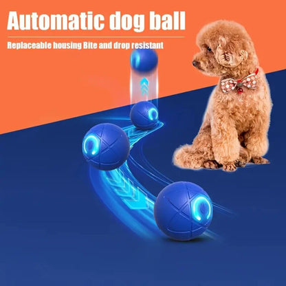 Automatic Dog Rolling Ball