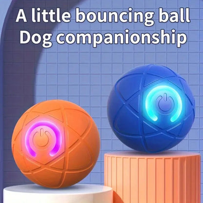 Automatic Dog Rolling Ball